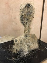 IMG-20181123-WA0017_1