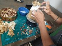 IMG_20191107_112131_1